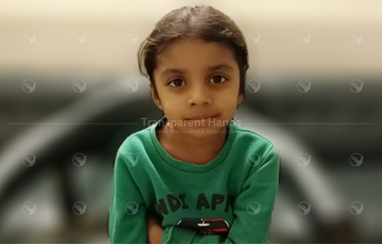 Amina Khizer (4) aa