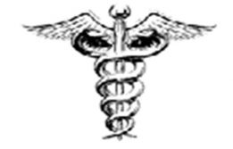 Hamza Hospital Logo