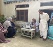 IMG 4811
