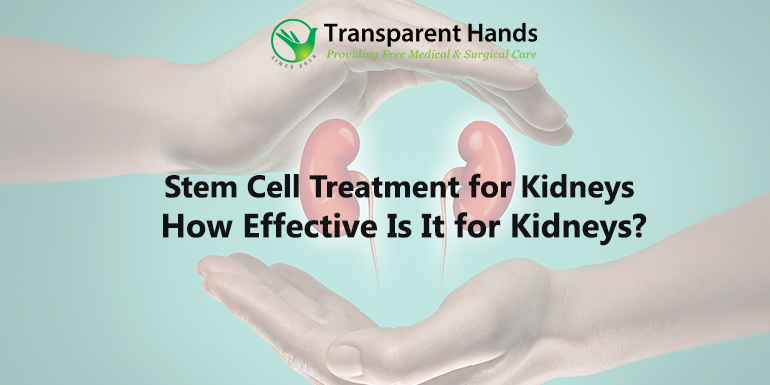 Stem Cell Treatment for Kidneys – How Effective Is It for Kidneys