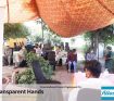 IMG 9066