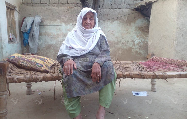 Bibi Hajeroon Pre Image