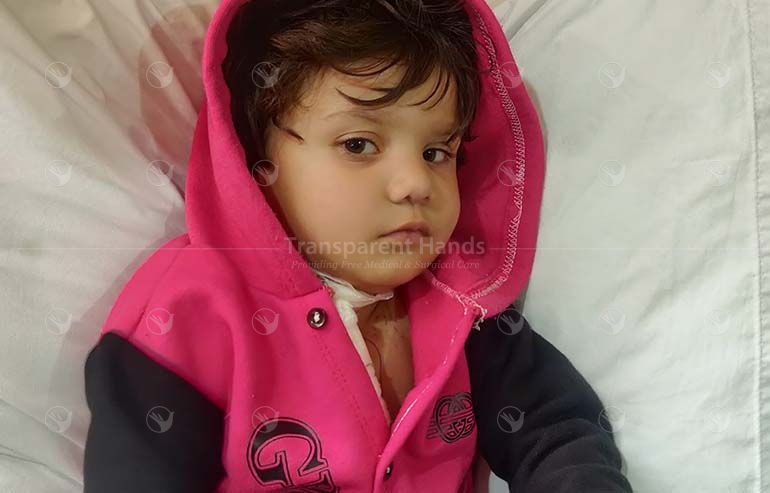 Hamza Hassan Post image