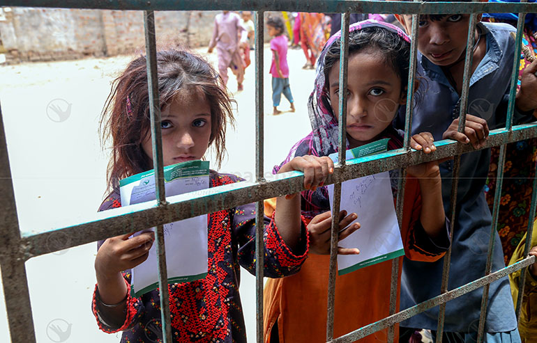 Making a Difference: Your Support Enables Access to Quality Healthcare in Dadu image