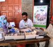 Dadu medical camp conducted