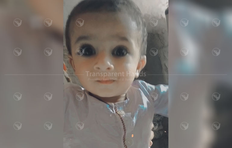 Zohan Ahmed pre image