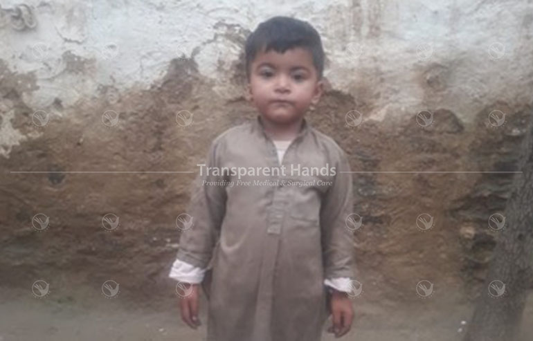 Irfan Ullah pre image copy