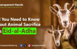 Animal Sacrifice