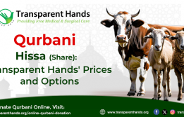 Transparent Hands Qurbani Hissa