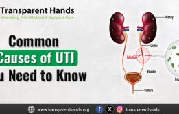 Common Causes of UTI You Need to Know
