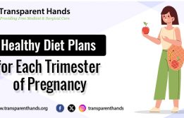 Healthy Diet Plans for Each Trimester of Pregnancy