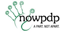 Network of Organizations Working For People With Disabilities Pakistan